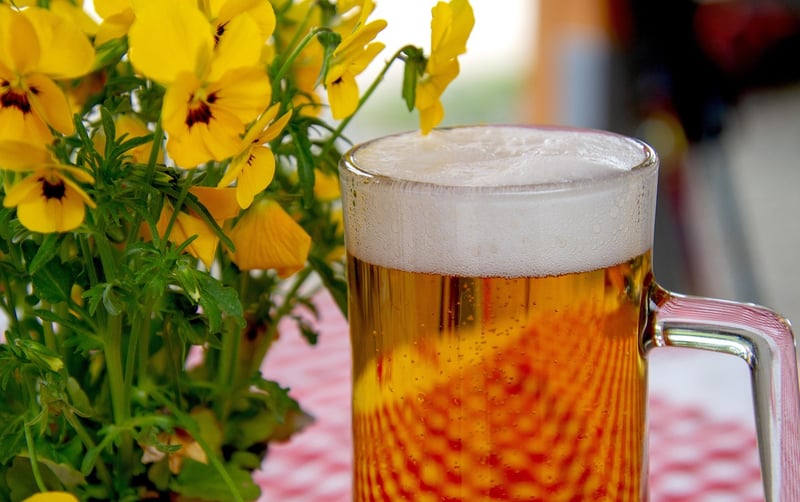 Beer and BBQ